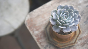 b-madrids-photographer-marathon-01